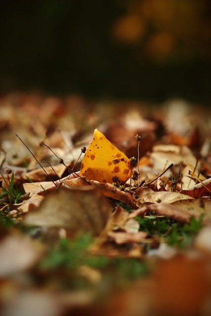 阿联酋1-1伊拉克，阿里-哈马迪破门，卢安齐尼奥救主