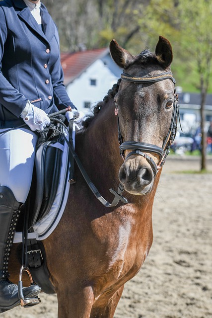 英超第14轮：切尔西1-3利兹联两场不胜 托辛失误送礼帕尔默复出